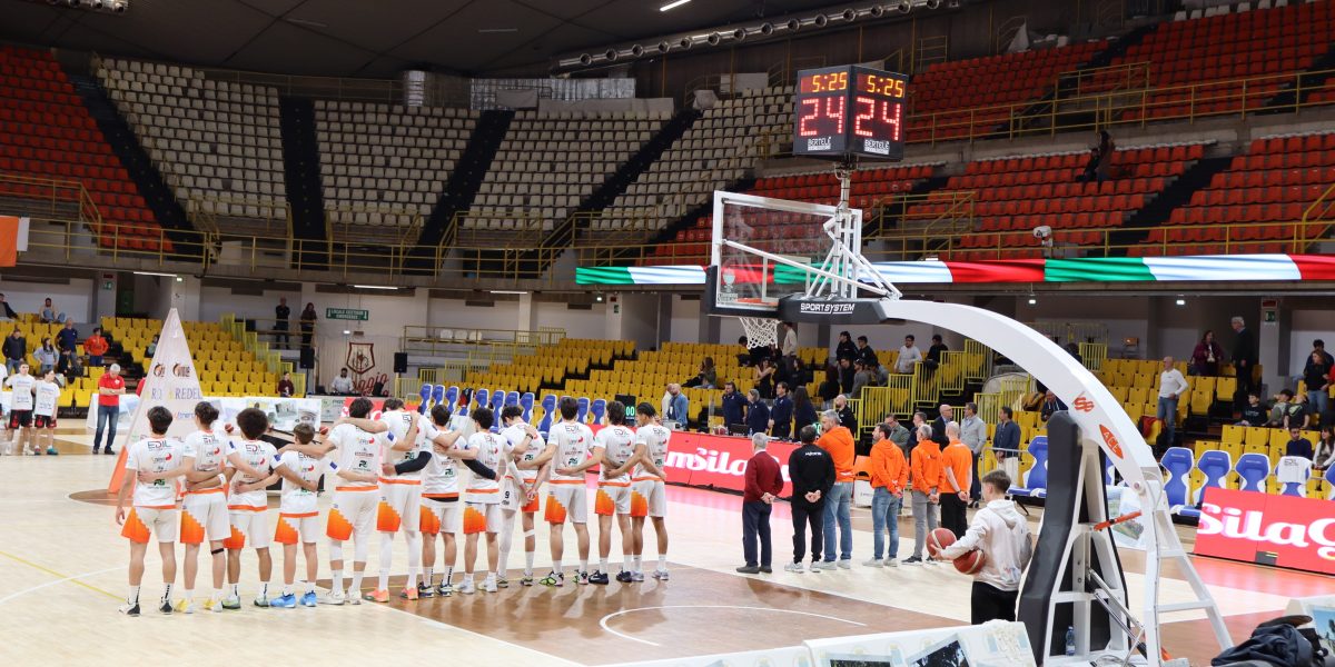 Redel Viola 97-52 Bim Bum Rende