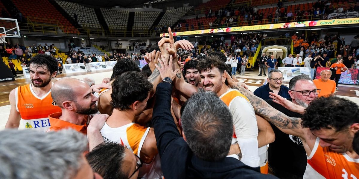 Basket mercato viola