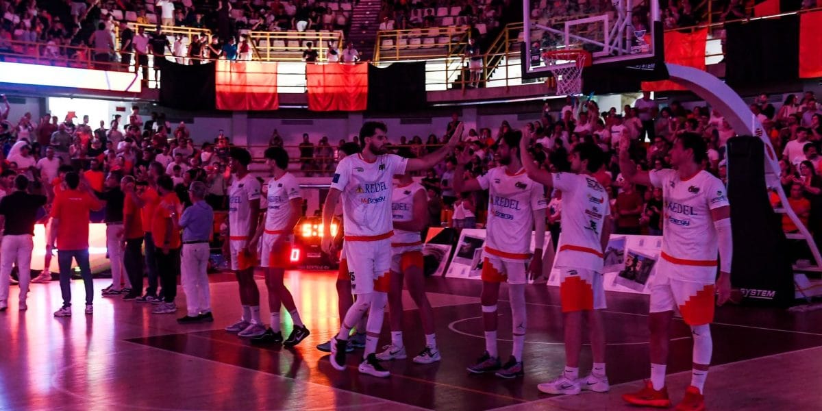 Viola basket mercato