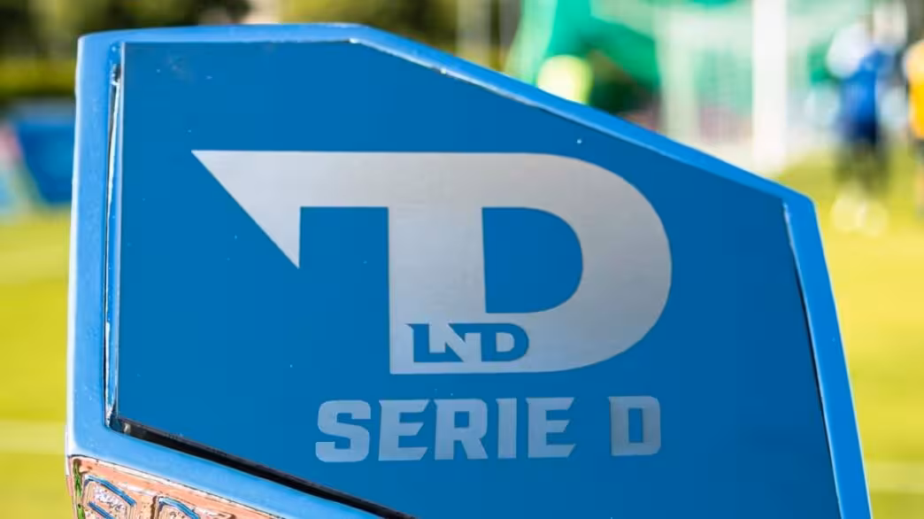 Serie D stemma